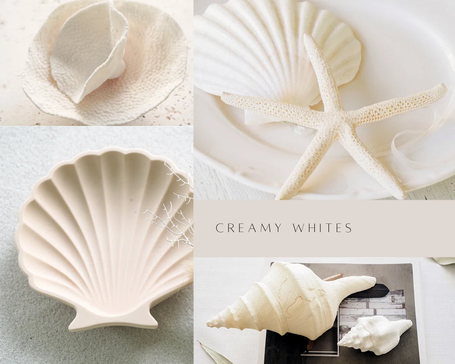 creamy white shells and coastal decor